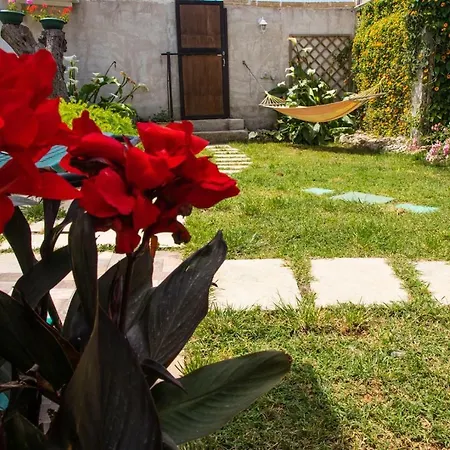 Chalet Gallipoli Holiday home
